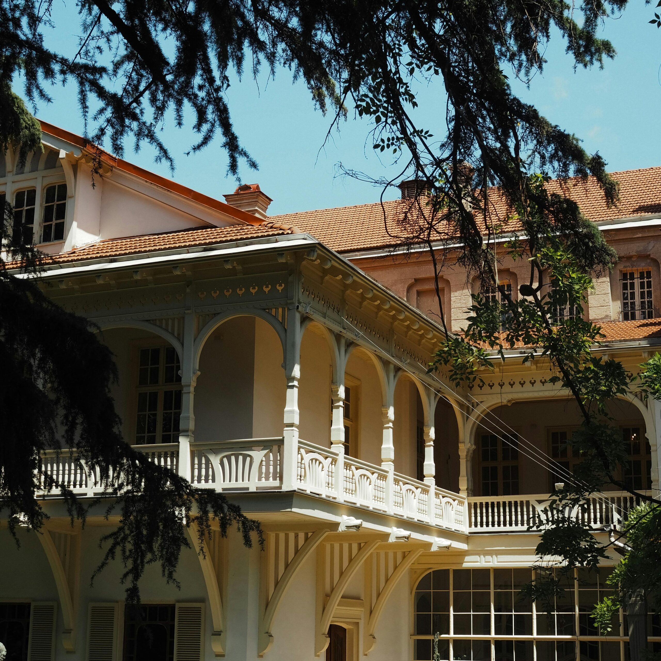 pexels-nikolaeva-nastia-3312562-25655451