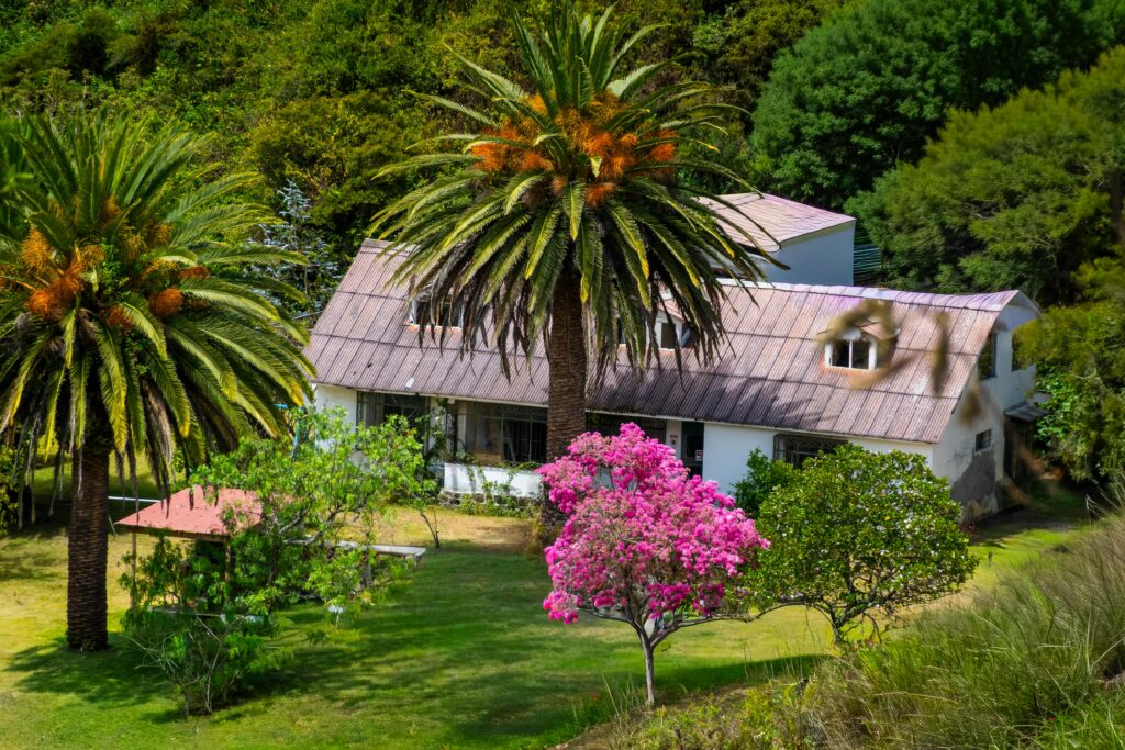 A picturesque countryside house surrounded by lush greenery and vibrant trees under a clear sky.